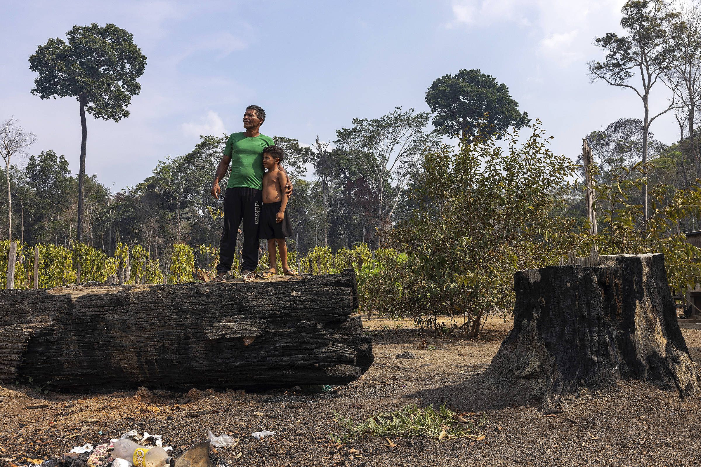 Agricultor e filho em castanheira queimada