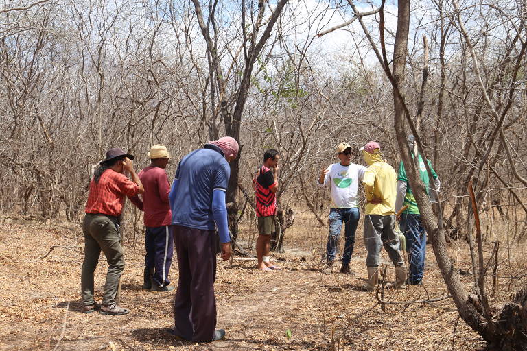 Um grupo de sete pessoas está reunido em uma área rural com árvores secas ao fundo. Eles estão em pé， alguns com as cabeças baixas， e parecem estar observando algo no chão. A vegetação é escassa e o solo é seco e árido. As pessoas vestem roupas variadas， incluindo camisetas e chapéus.