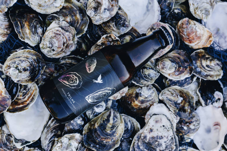 Garrafa preta na diagonal deitada sob várias conchas de ostras; a cerveja Imperial Oyster Stout é lançamento da Trilha Cervejaria