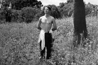 DALTON TREVISAN