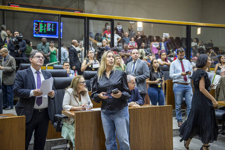 A imagem mostra uma reunião em um ambiente legislativo， com várias pessoas presentes. No primeiro plano， um homem de terno e gravata segura papéis， enquanto uma mulher com blusa preta e jeans está em pé， olhando para cima. Ao fundo， há um grupo de pessoas em pé， algumas segurando cartazes. O ambiente é bem iluminado， com cadeiras pretas e uma tela de exibição visível ao fundo.