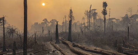 Santarém, PA. 23/11/2024. Área recém queimada  no PAE ( Projeto de Assentamento Agroextrativista ) Terra Nova ao longo do ramal do Rancho, na região de planalto entre Santarém e Uruará, no Pará.  ( Foto: Lalo de Almeida/ Folhapress ). AMBIENTE. *** EXCLUSIVO FOLHA***
