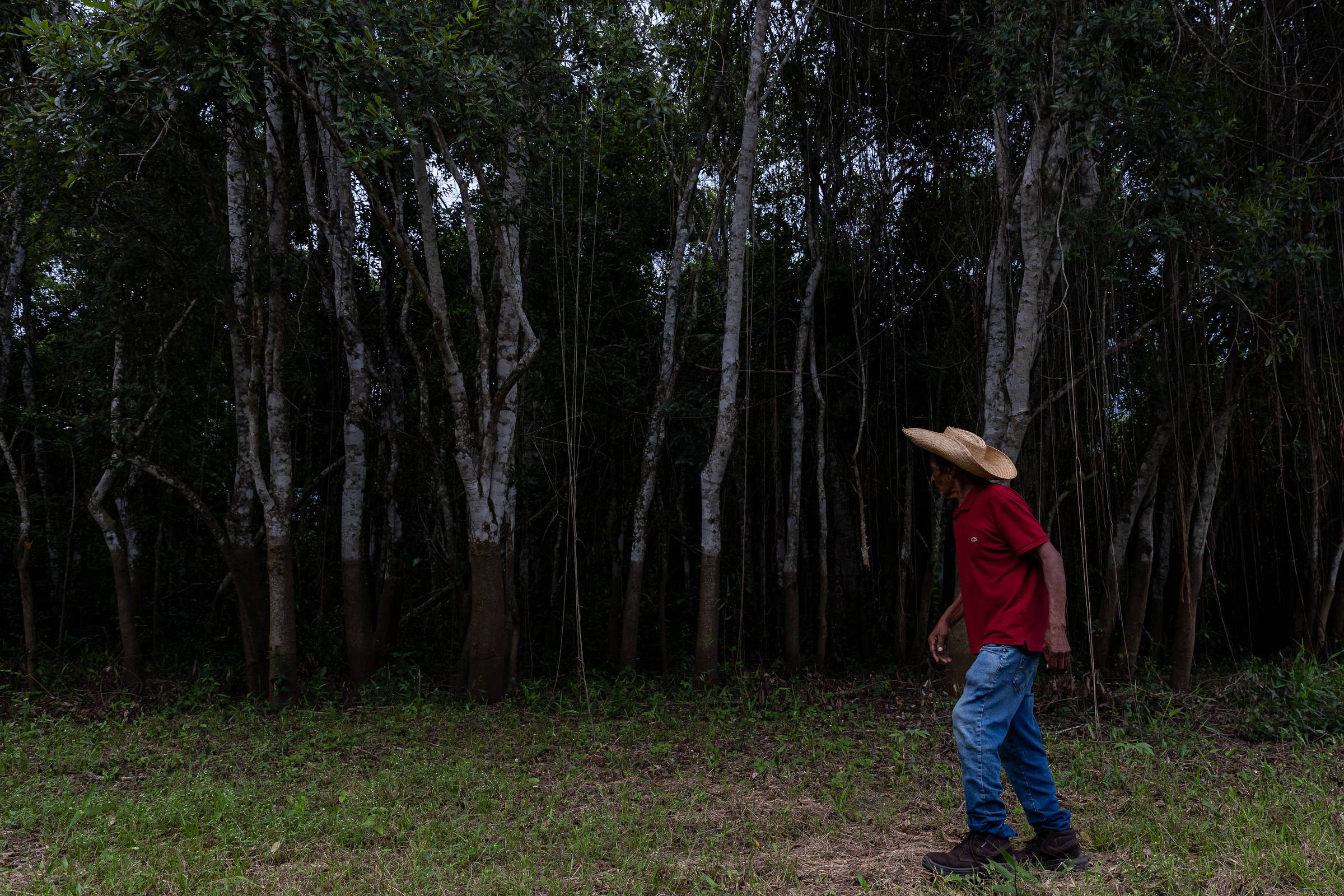 'Faz quatro anos que a água não sobe aqui', diz único morador de reserva no pantanal