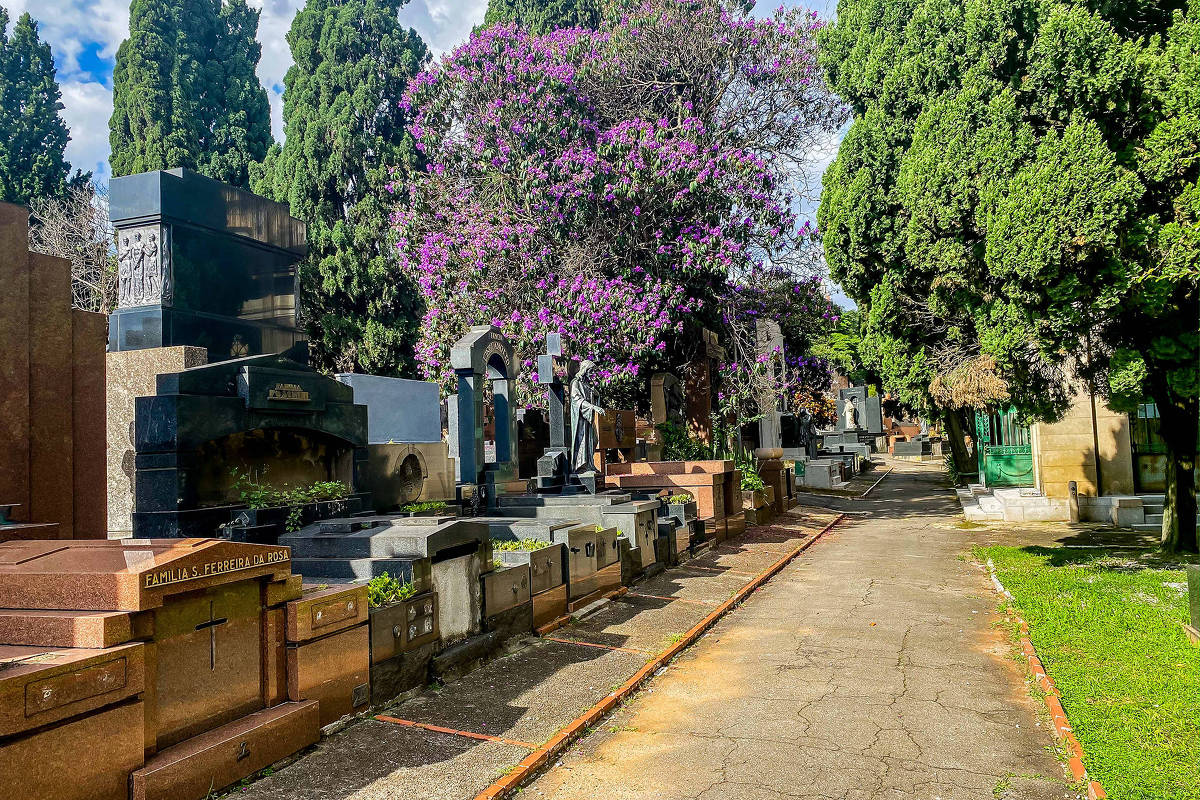 Painel: Vereadores veem como inevitável CPI do Serviço Funerário na Câmara de SP