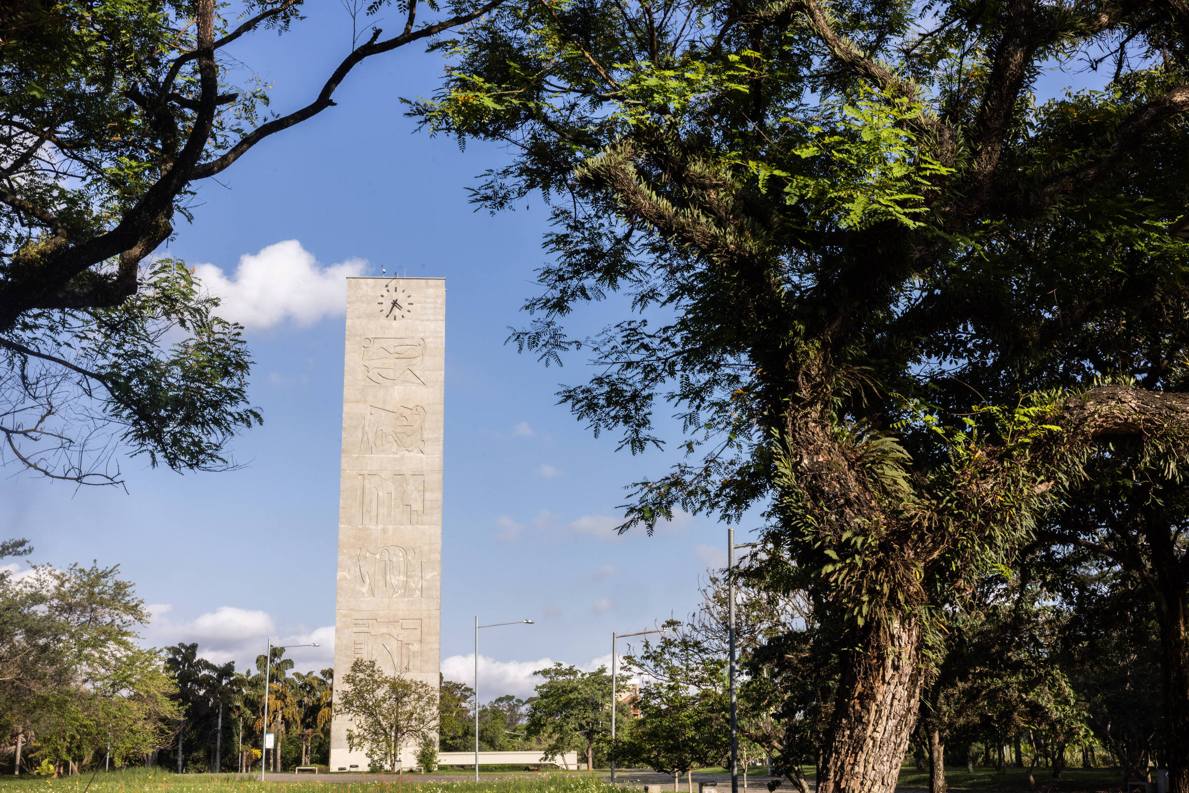 Fuvest vai fazer simulado de novo formato de redação com diferentes gêneros textuais