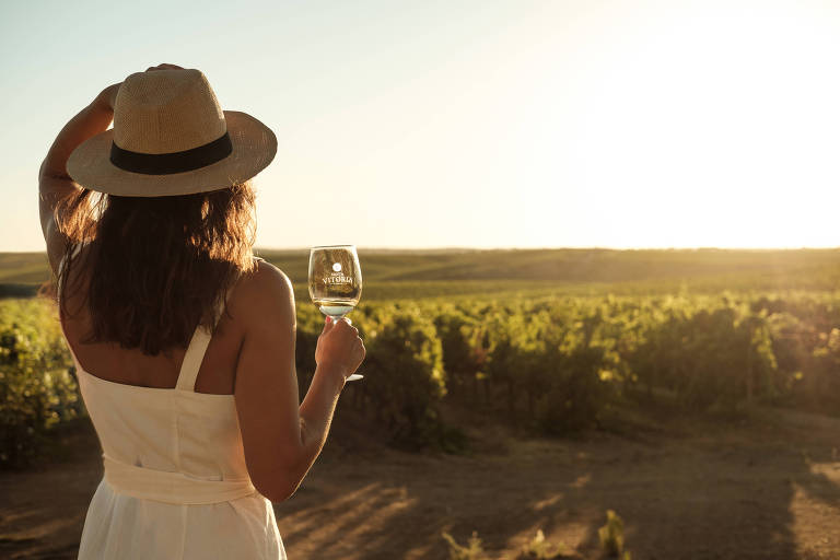 A imagem mostra uma mulher de costas， usando um chapéu de palha e um vestido branco， segurando um copo de vinho. Ela está em um vinhedo， com várias fileiras de videiras ao fundo， sob um céu claro e iluminado pelo sol poente.