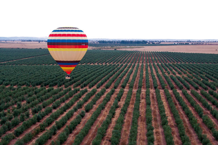 A imagem mostra um balão de ar quente colorido flutuando sobre um vasto campo de plantações organizadas em linhas. O balão possui listras em vermelho， azul e amarelo， e está localizado acima de uma plantação de árvores verdes dispostas em fileiras. O fundo apresenta um céu claro e uma paisagem rural com campos e árvores ao longe.