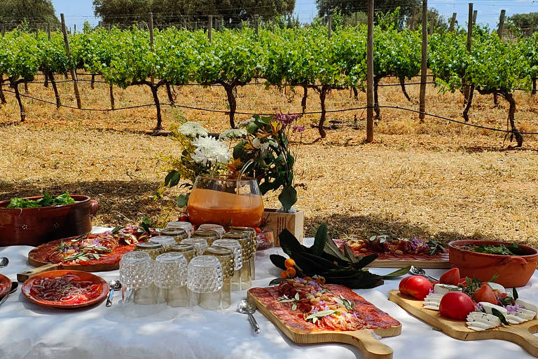 A imagem mostra uma mesa de piquenique decorada com pratos de comida em um vinhedo. Há várias travessas com saladas， frios e queijos， além de copos de vidro e uma jarra com uma bebida laranja. Ao fundo， pode-se ver as fileiras de vinhedos verdes sob um céu claro.