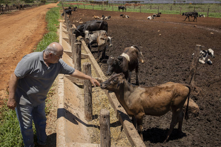 Um dos proprietários que cedeu espaço para as placas é Edilson R Silveira, 61, produtor de leite.