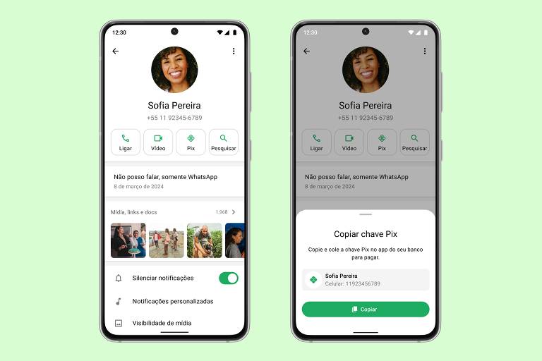 WhatsApp adiciona botão para informar chave Pix no perfil