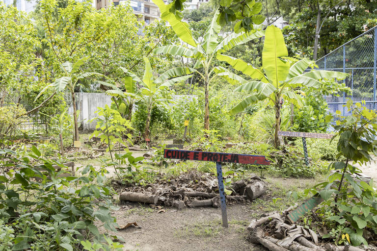 A imagem mostra uma horta com várias plantas, incluindo bananeiras. No centro, há uma placa vermelha com a inscrição 'CUIDE E PROTEJA'. O ambiente é cercado por uma grade e apresenta um solo coberto de folhas secas e galhos.