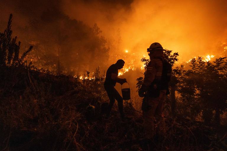 Morador tenta extinguir um incêndio florestal em Ribeira de Fraguas, Albergaria-a-Velha, em Aveiro, Portugal