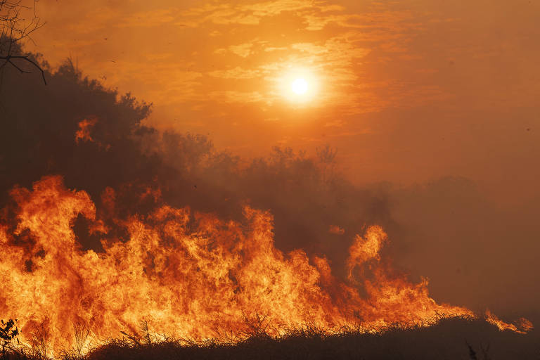 Fogo consome a vegetação em uma fazenda na região da Nhecolandia, no pantanal de Mato Grosso do Sul