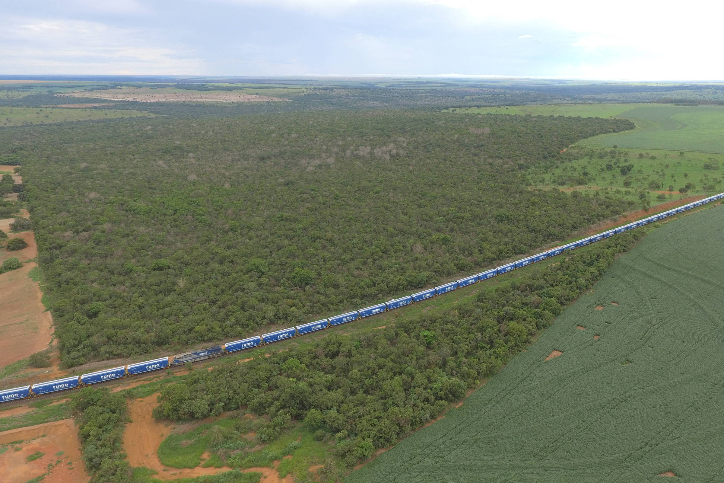 Saiba como é formado cada tipo de trem para levar cargas no país