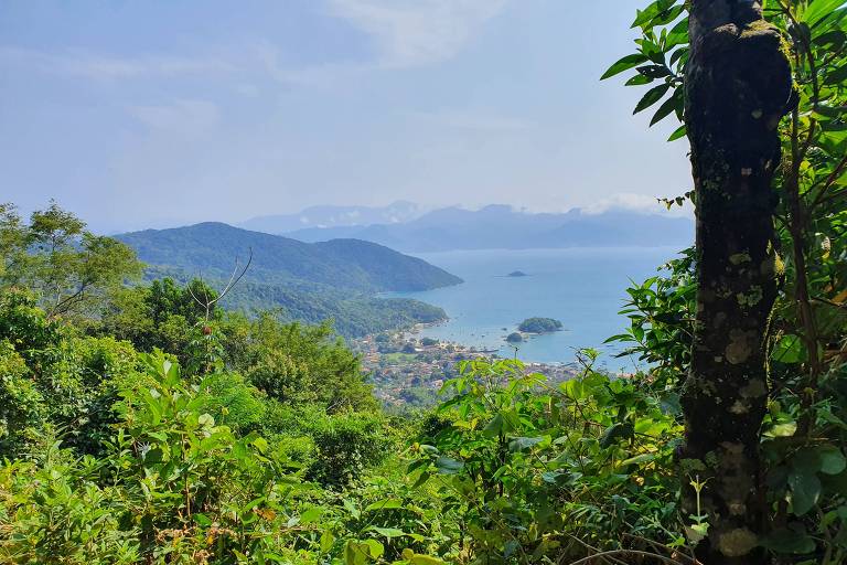 Vila do Abraão， na Ilha Grande (RJ)， vista de mirante que fica na estrada que leva à praia de Dois Rios