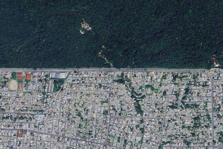 A Manaus dos rios 'zumbis', onde mais da metade da população vive em favelas