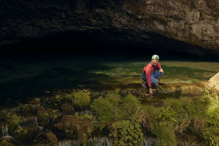 Um homem está agachado à beira de um pequeno fluxo de água em uma caverna. Ele usa um capacete e uma camisa vermelha， com calças azuis. Ao fundo， a caverna é escura， enquanto a água é clara e reflete a luz. A vegetação ao redor é verde e abundante， com algumas pedras visíveis