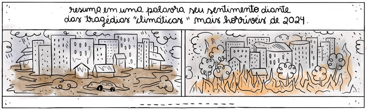 A tira Viver Dói, de Fabiane Langona,  publicada em 27/12/2024 intitulada “Resuma em uma palavra seu sentimento diante das tragédias ‘climáticas’ mais horríveis de 2024”,  é composta por dois quadros horizontais que mostram cenas de desastres. O primeiro retrata uma cidade inundada, com prédios submersos em água, árvores caídas e um carro parcialmente submerso. O segundo retrata uma cidade em chamas, com árvores e prédios pegando fogo e coberta de uma densa fumaça cinza. Na base da há uma linha pontilhada para que o leitor preencha respondendo a questão colocada no título.