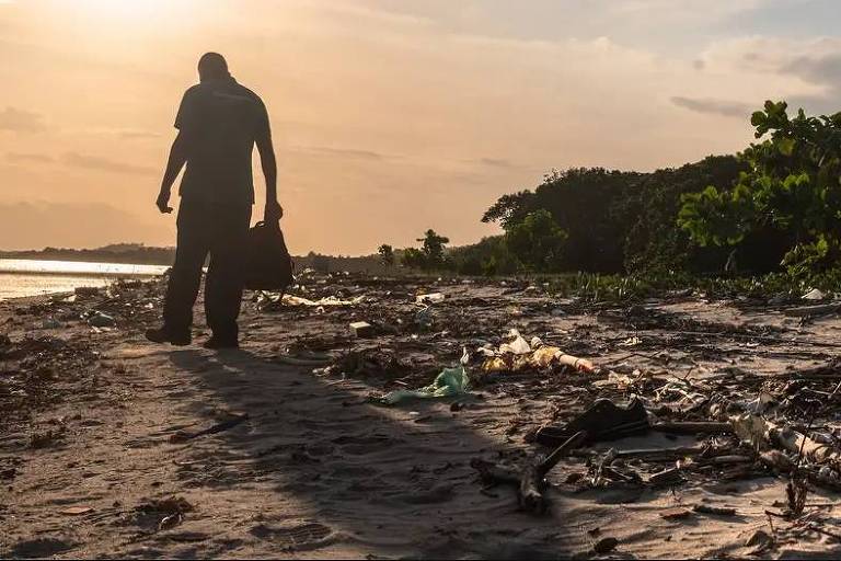 Como pescadores ressuscitaram uma floresta no Rio de Janeiro