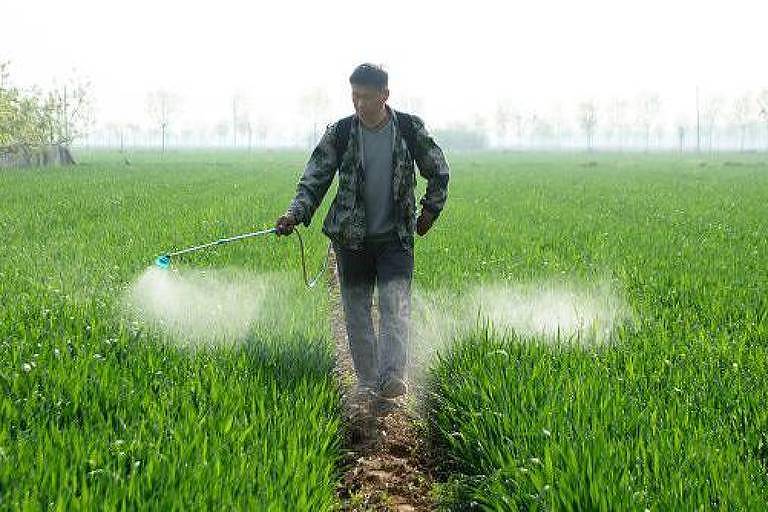 Foto mostra um homem asiático， de pele clara e cabelos curtos pretos， plicando pesticida em plantação. Ele usa uma camisa grossa por cima de uma camiseta， calça jeans e botas. 