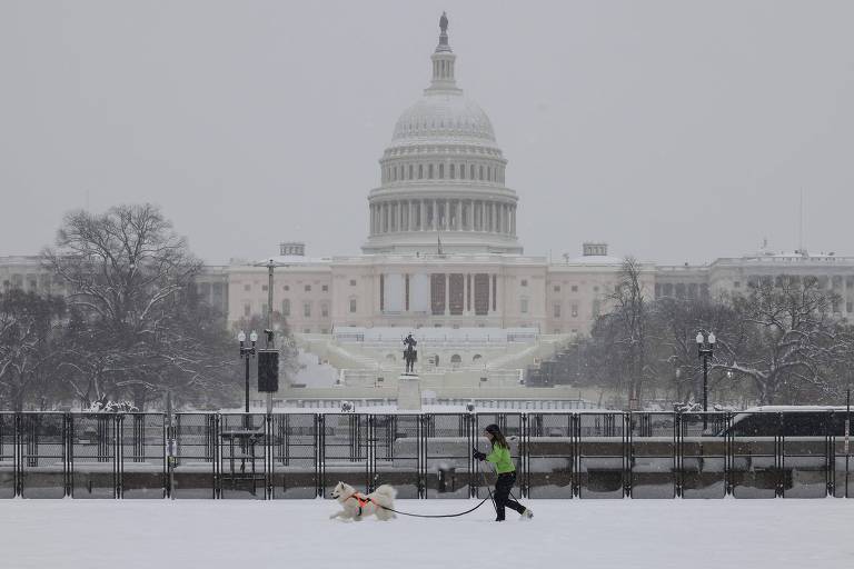 Uma pessoa está passeando com um cachorro em um espaço coberto de neve， com o Capitólio dos Estados Unidos ao fundo. O céu está nublado e a cena é predominantemente branca devido à neve. A pessoa está vestindo uma jaqueta verde e o cachorro é de cor clara.