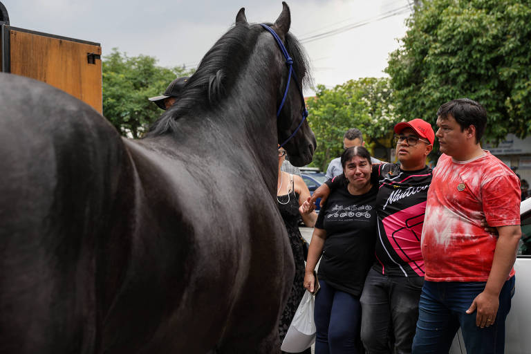 A imagem mostra um grupo de quatro pessoas em um ambiente externo， com um cavalo preto em primeiro plano. As pessoas estão posicionadas ao lado do cavalo， algumas sorrindo e interagindo entre si. O fundo apresenta árvores e um céu nublado