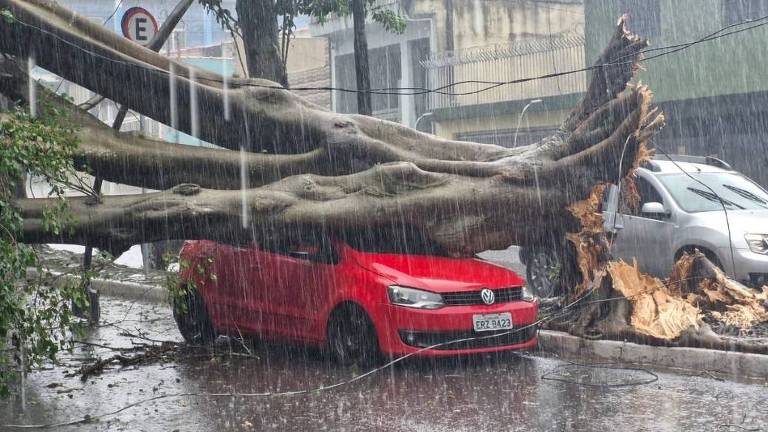 A imagem mostra um carro vermelho esmagado por uma árvore caída em uma rua durante uma forte chuva. A árvore está posicionada horizontalmente， com suas raízes expostas， e a chuva está caindo intensamente， criando poças na calçada. Ao fundo， é possível ver outros carros e edifícios parcialmente visíveis.