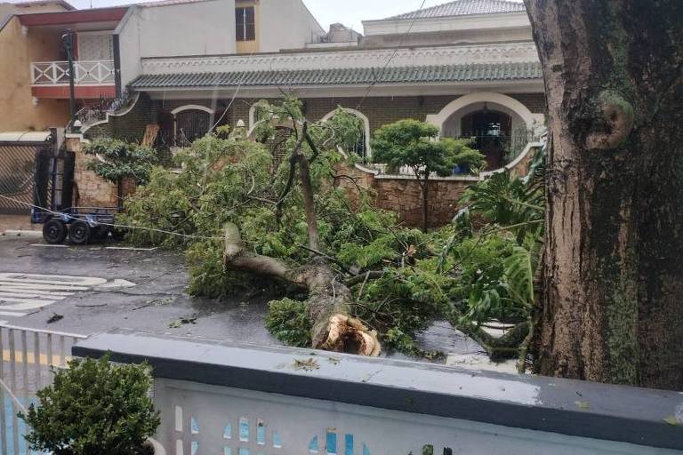 A imagem mostra uma árvore caída em uma área urbana， com galhos e folhas espalhados pelo chão. Ao fundo， há uma casa com uma varanda e janelas. O ambiente parece molhado， possivelmente devido à chuva. A cena transmite um impacto visual de desordem causado pela queda da árvore.