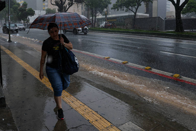 Uma mulher caminha pela calçada em um dia chuvoso， segurando um guarda-chuva xadrez. A rua está molhada e há água acumulada na calçada， com um fluxo de água ao longo da borda. Ao fundo， veículos estão parados na rua e árvores estão visíveis nas laterais.