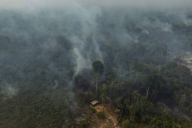 Imagem aérea de uma área da floresta amazônica com fumaça visível， indicando incêndios florestais. A vegetação é densa， com árvores altas e uma clareira onde há uma estrutura simples， possivelmente uma cabana ou abrigo. O céu está nublado e a visibilidade é reduzida devido à fumaça.