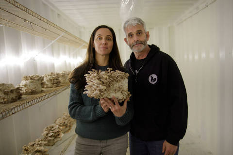 Leah Garcés e Craig Watts em estufa para cultivo de cogumelos, que substituiu granja de frangos de corte