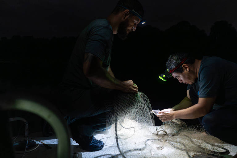 Dois homens estão trabalhando à noite， iluminados por lanternas de cabeça. Um homem está em pé， segurando uma rede de pesca， enquanto o outro está agachado， usando um celular e observando a rede. O ambiente é escuro， com uma luz suave iluminando a área ao redor deles.