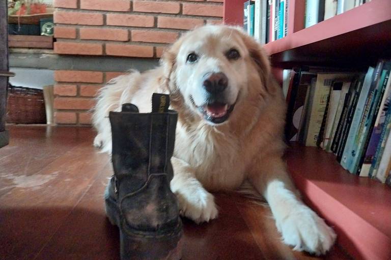 Sempre teremos Zurique