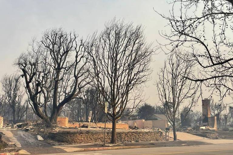 Local em que ficava a casa da brasileira Claudia Sussekind Bird em Pacific Palisades, em Los Angeles, após incêndios 