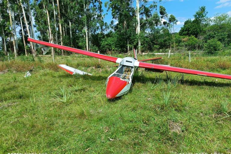 A imagem mostra um planador de asas longas， com fuselagem branca e detalhes em vermelho， pousado em um campo gramado. O planador está inclinado para o lado， com uma das asas parcialmente danificada. Ao fundo， há uma fileira de árvores altas， predominantemente eucaliptos， e um céu azul com algumas nuvens. O ambiente é natural， com vegetação rasteira ao redor do planador.