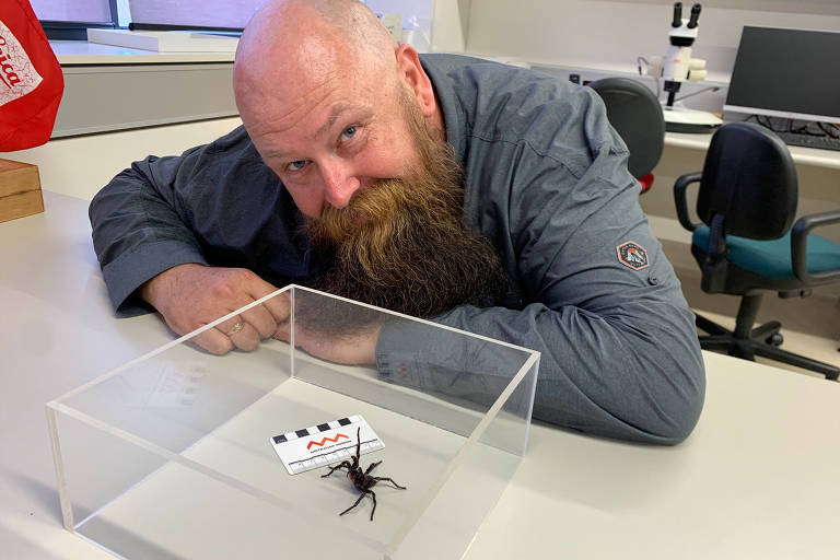 Kane Christensen, um entusiasta de aranhas e ex-chefe de aranhas do Australian Reptile Park, diante da aranha que recebeu o nome dele