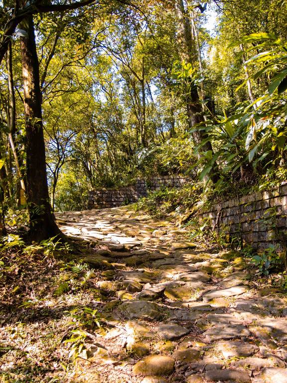 A imagem mostra um caminho de pedras em uma floresta densa. O caminho é ladeado por árvores altas e vegetação verdejante， com luz do sol filtrando através das folhas. À direita， há uma parede de pedra coberta de musgo， e o chão é composto por pedras irregulares， algumas cobertas de vegetação.