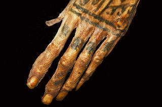 A tattooed, mummified hand of a Chancay person from Peru from 1,200 years ago. (Michael Pittman and Thomas G. Kaye via The New York Times)