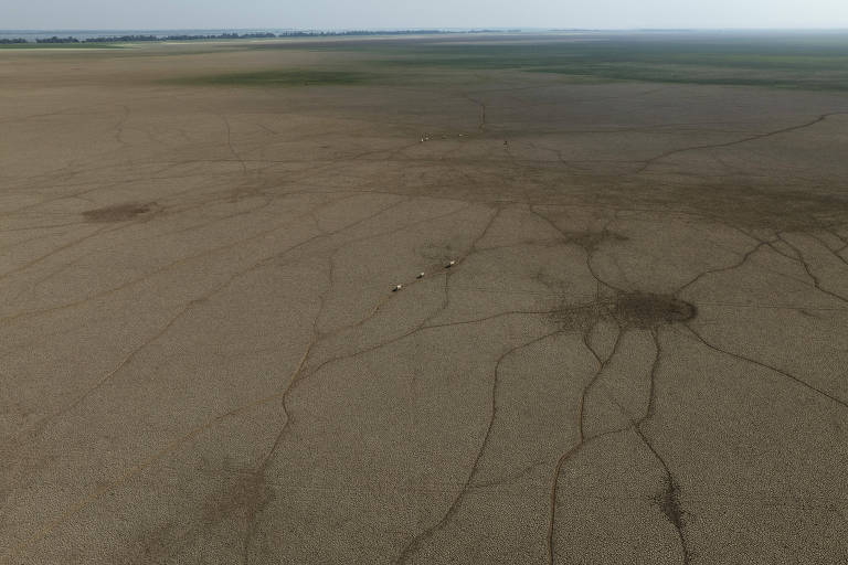 Imagem aérea de uma vasta área de terreno árido， com predominância de tons marrons e algumas marcas no solo que parecem ser fissuras ou caminhos. O horizonte é visível ao fundo， com uma leve variação de cor， indicando a continuidade da paisagem.