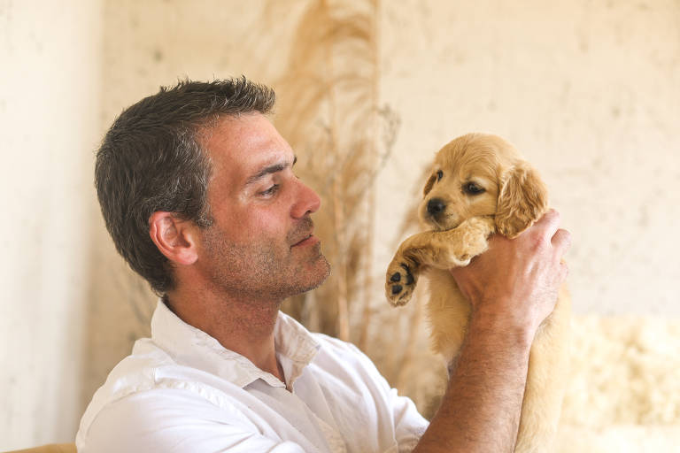 Criação de cães híbridos em fazenda paulista