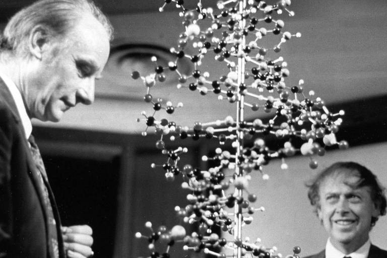 James Watson (à esq.) com um modelo de molécula de DNA ao lado de Francis Crick (à dir.)