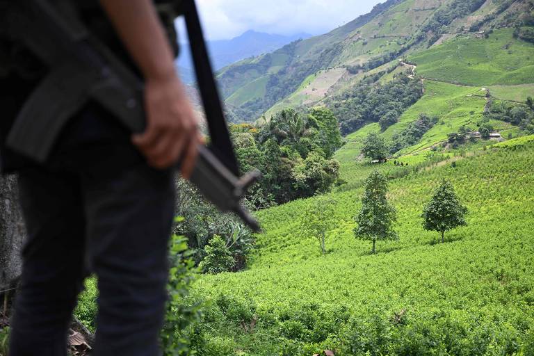 A imagem mostra uma paisagem montanhosa com plantações verdes cobrindo as encostas， provavelmente plantações de coca. Em primeiro plano， desfocado， está uma pessoa segurando o que parece ser uma arma de fogo， reforçando o contexto de segurança ou vigilância na área. A pessoa está de costas para a câmera， e sua presença contrasta com a vegetação vibrante ao fundo. O cenário sugere um ambiente rural e isolado， característico de áreas controladas por grupos armados na Colômbia.