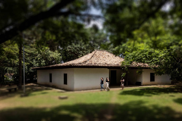 Casa do Caxingui em meio a árvores