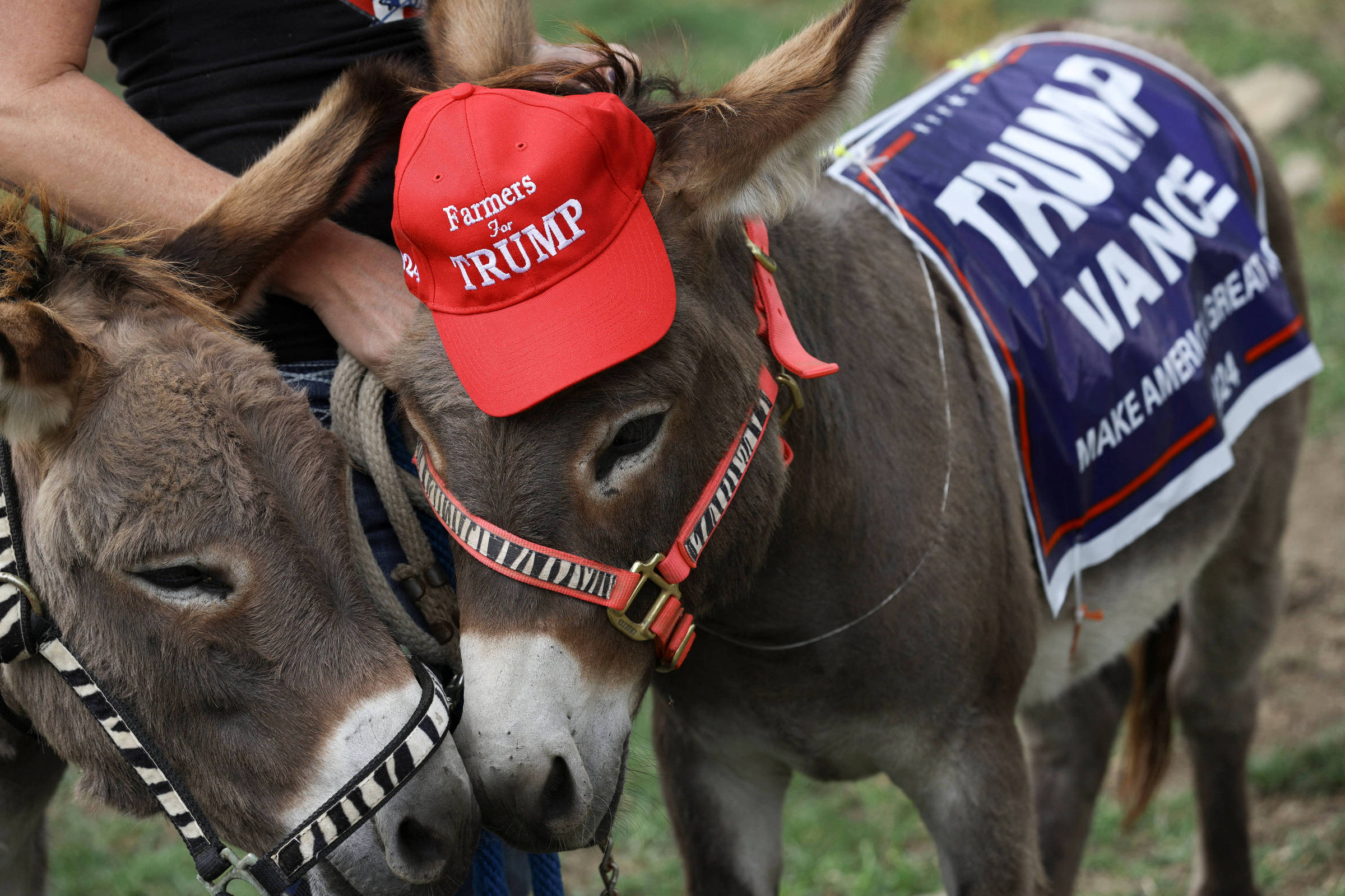 Já com problemas, agronegócio dos EUA deve ser afetado por ameaças de Trump