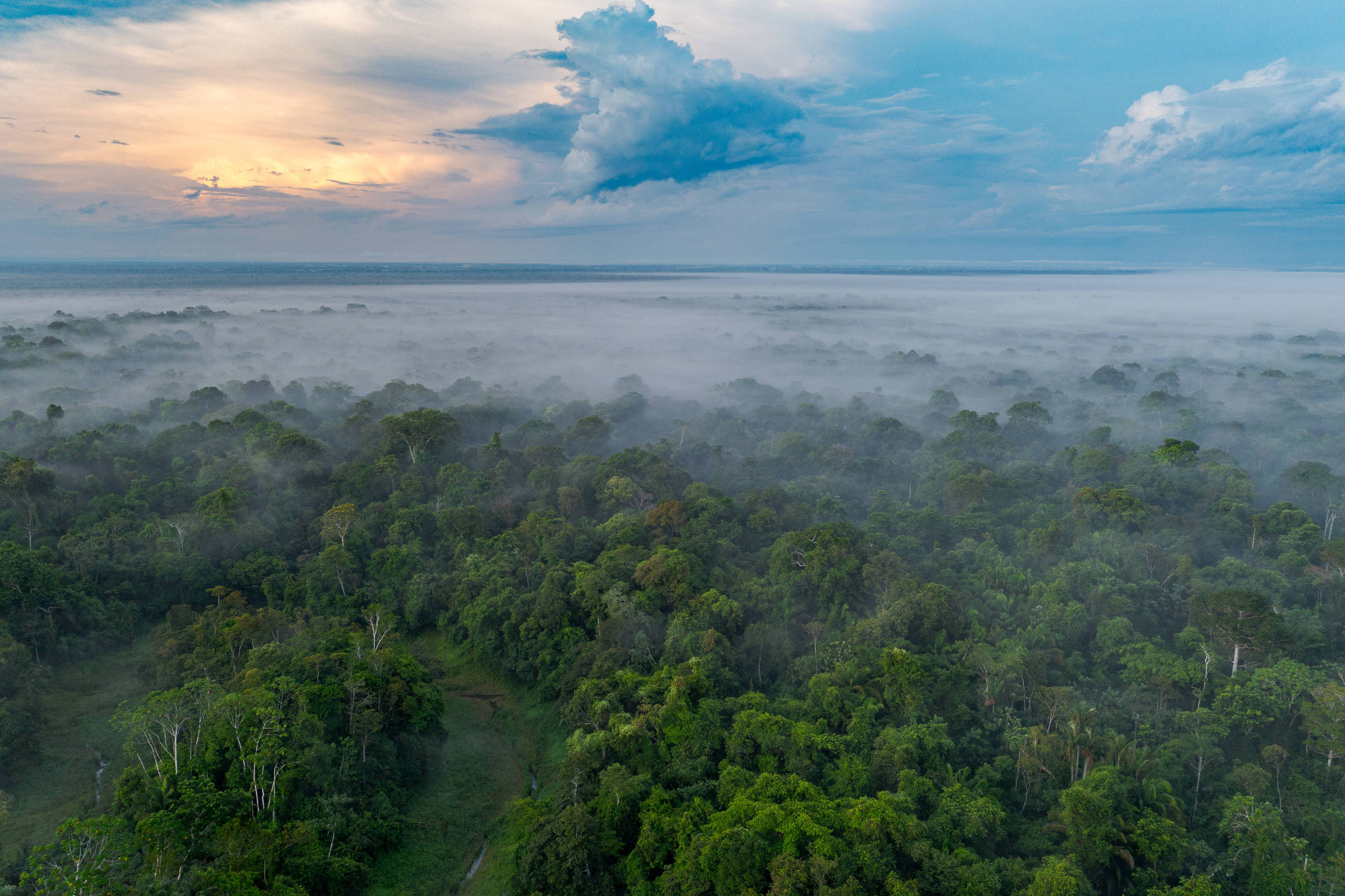 Ministério da Fazenda quer criar agência reguladora para gerir mercado de carbono