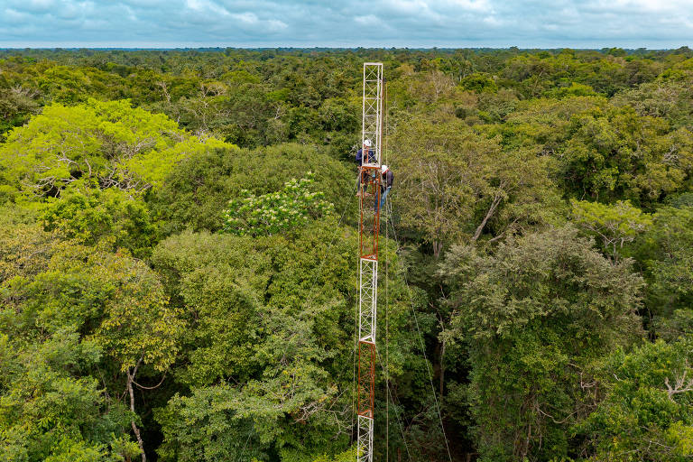 A imagem mostra uma torre alta， cercada por uma densa vegetação de floresta. Duas pessoas estão visíveis na parte superior da torre， que se eleva acima das copas das árvores. O céu está parcialmente nublado， e a paisagem verde se estende ao fundo.