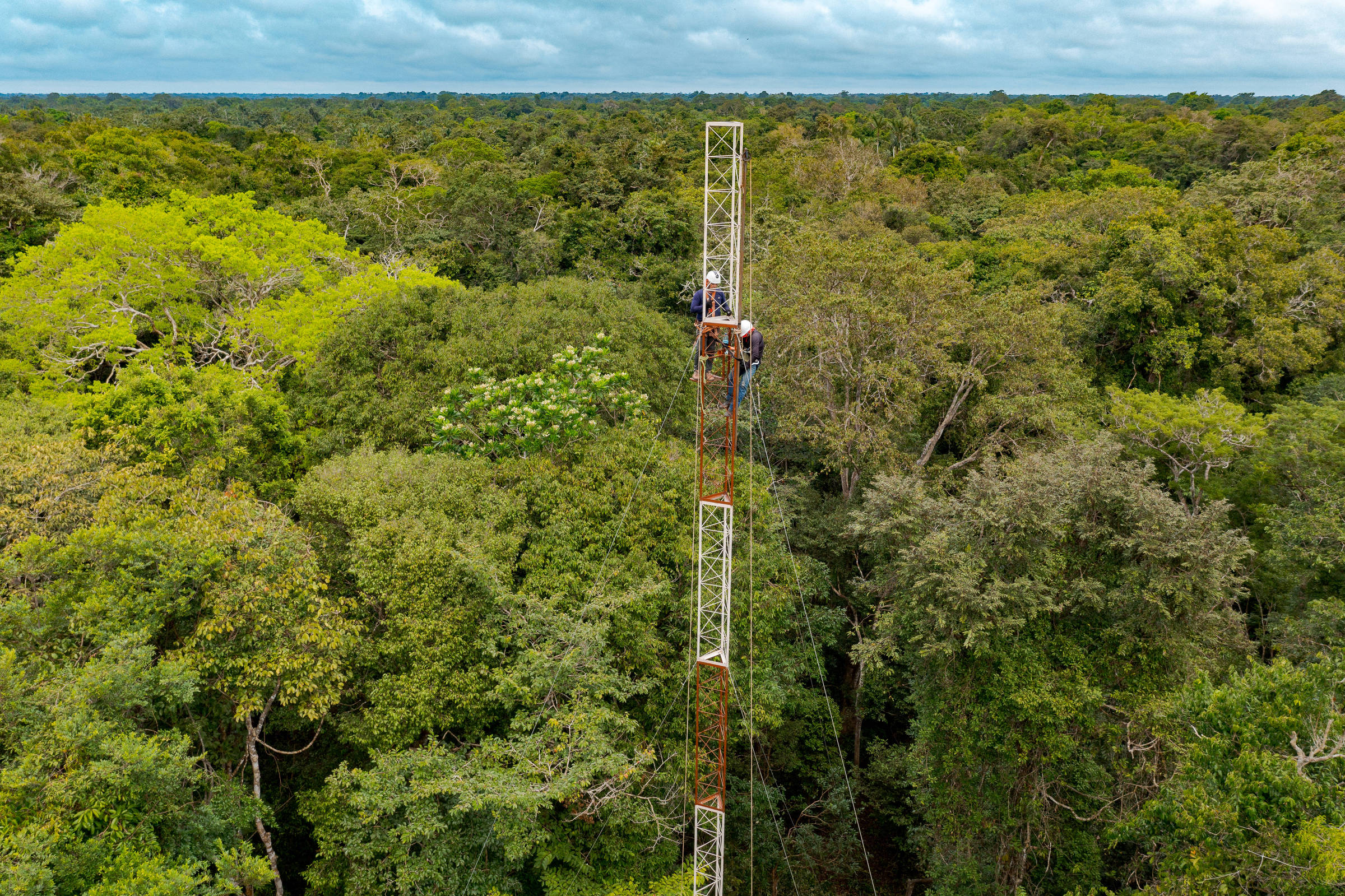 Amazônia ganha 1ª torre para medir gases do efeito estufa em floresta alagável