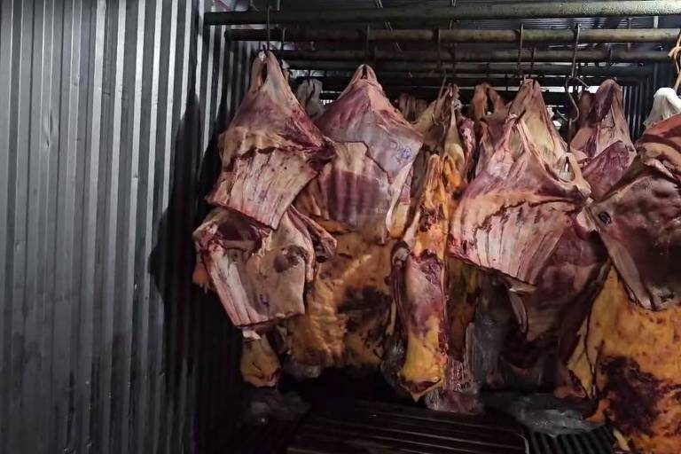 A imagem mostra várias peças de carne penduradas em ganchos dentro de uma câmara fria. As carnes têm uma coloração variada， com tons de vermelho e marrom， e estão dispostas em um ambiente com paredes de metal escuro.