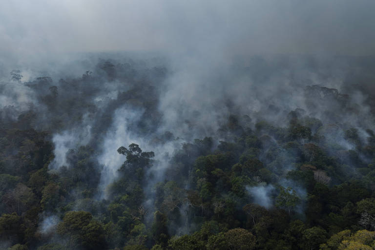 A imagem mostra uma vista aérea de uma floresta densa envolta em fumaça. O cenário é de árvores altas e verdes， com áreas onde a fumaça se eleva， indicando a presença de fogo. O céu está nublado， contribuindo para a atmosfera sombria da cena.