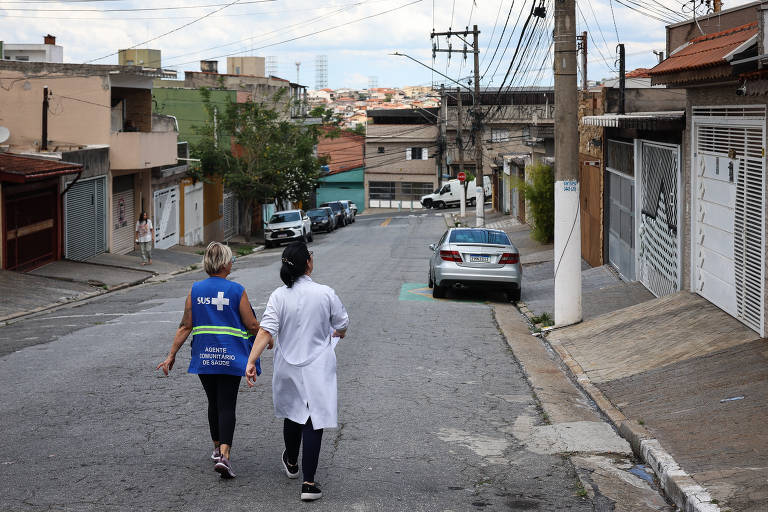 Cidade de São Paulo registra 19 mortes por dengue em 2025